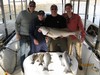 (03/04/2017) - Nice Striped Bass